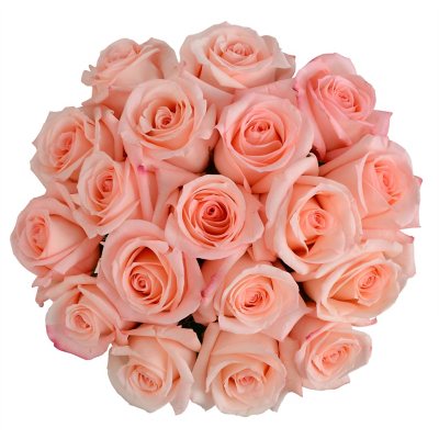 Member's Mark Roses & Petals Combo, 75 stems and 2000 petals (Choose color)  - Sam's Club