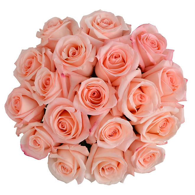 Member's Mark Premium Roses (Color and variety may vary, 18 stems)