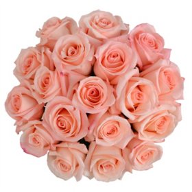 Member's Mark Premium Roses, Assorted Colors, 18 stems