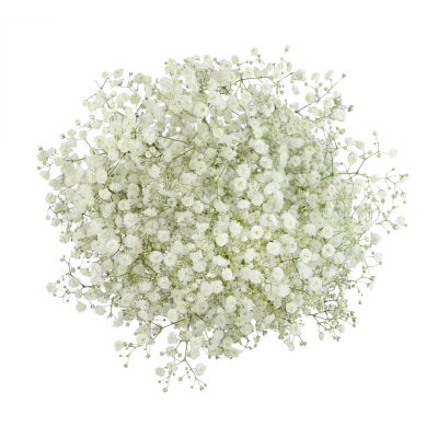 8 Bouquets Baby Breath Artificial Flowers Bulk White Gypsophila Real Touch  Flowers for Wedding DIY Wreath Floral Arrangement Home Party Garden  Decoration