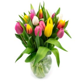 Member's Mark Tulip Vase Arrangement, Rainbow Colors 20 stems