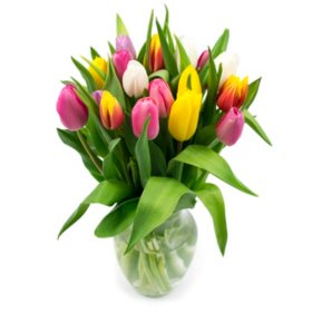 Fresh Flowers and Floral Products For Sale - Sam's Club