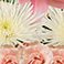 Pink, variant on Member's Mark Wedding Collection Centerpieces, 6 pieces, Choose color
