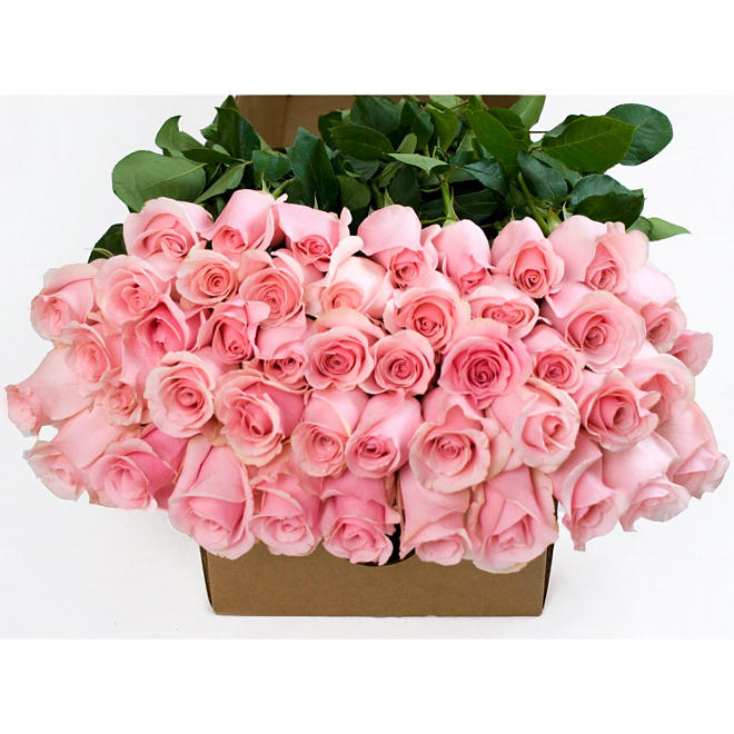 Roses - Pink - 50 Stems 