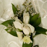 Wedding Collection White, Corsage and Boutonniere (Choose 12 or 24 pieces)