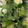 Rustic Chic, variant on Member's Mark Wedding Collection Bridesmaid Bouquets, choose color and quantity