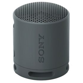 Sony SRSXB100 Bluetooth Portable Speaker