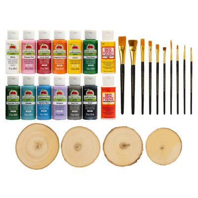 Apple Barrel Wood Round Multi-Surface Acrylic Craft Paint Kit, 28