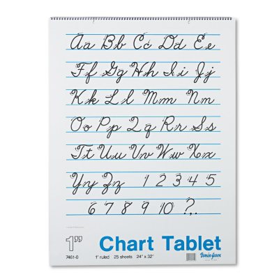Ecology Recycled Chart Pad 1 Inch Ruled 70 Sheets 24 x 32 Inches 