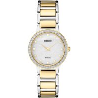 Seiko Women's Essentials Collection Classic Quartz Watch