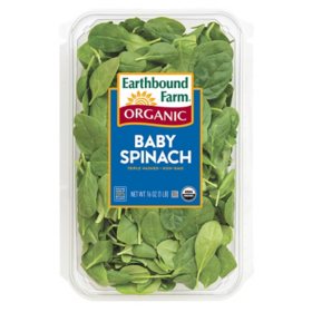 Earthbound Farm Organic Spinach (16 oz.)
