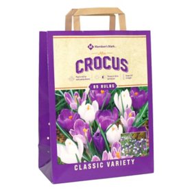 Crocus Mix - Package of 85 Dormant Bulbs