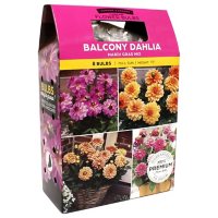 Dahlia Mardi Gras Mix - Package of 10 Dormant Bulbs