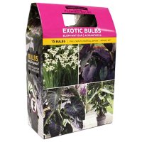 Exotic Bulbs