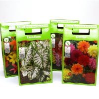Assorted Boxed Spring Bulbs