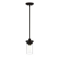 Enbrighten Pendant Lamp with LED Bulb by Ecoscapes
