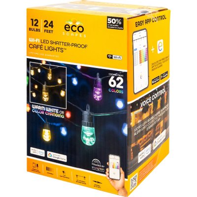 Life Essence 300ml 6本set Buy Sensai Lift Focus Essence Limited Edition Set | Beauty Plaza