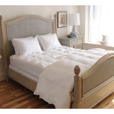 Beyond Down Pillows 2 Pack Sam S Club