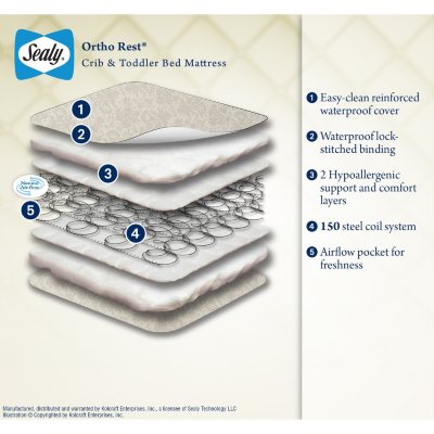 sealy ortho rest crib and toddler mattress