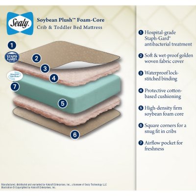 sealy soybean plush crib mattress