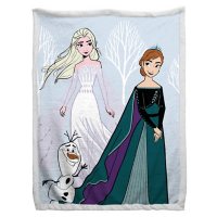Disney's Frozen 2 Magical Friends 70" x 90" Sherpa Back Blanket