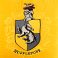 Hufflepuff, variant on Licensed Decorative Pillow, 20" x 20", Assorted Characters