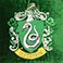Slytherin, variant on Licensed Decorative Pillow, 20" x 20", Assorted Characters