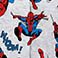 Spider-Man, variant on Licensed Kids Bed-in-a-Bag, 5 or 7-Piece Sets, Assorted Sizes