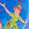 Peter Pan, variant on Disney Classic VHS Boxed Silk Touch Throw, 50" x 70"