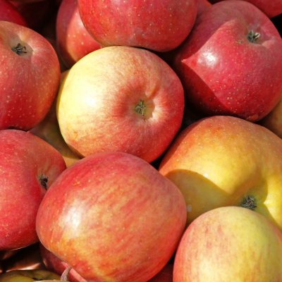 GALA APPLES FRESH PRODUCE FRUIT PER POUND EACH (1)