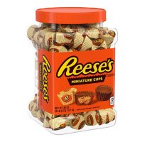 REESE'S Miniatures Milk Chocolate Peanut Butter Candy, Bulk Candy, Canister (38 oz.)
