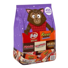 Hershey Assorted Chocolate Flavors Bite Size, Halloween Candy Bulk Bag (110.35 oz., 455 ct.)
