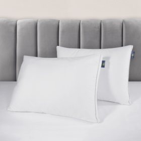 Sam's club best sale tencel pillow