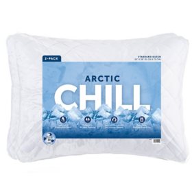 Arctic Chill Cooling Bed Pillow, 2 Pack, Assorted Sizes