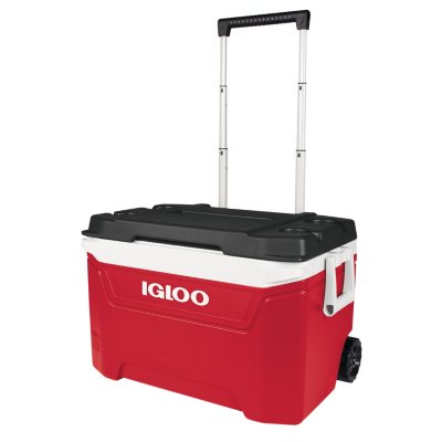 red and black igloo cooler