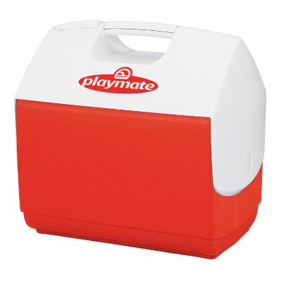 Sam's club best sale igloo coolers