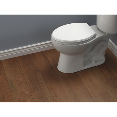 Delta Wycliffe Slow-Close Elongated Toilet Seat, White