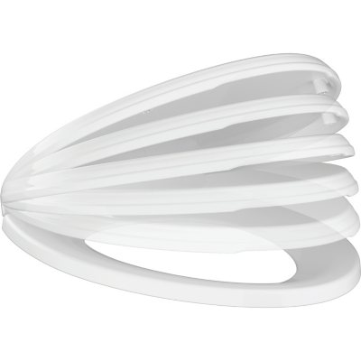 Delta Wycliffe Slow-Close Elongated Toilet Seat, White