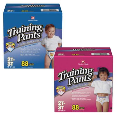 Huggies Pull-Ups Training Pants for Girls, Size 2T-3T (18-34 lbs.), 90 ct.  - Sam's Club