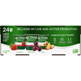 Activia Yogurt with Probiotics - Variety Flavour Pack of 24 x 100g