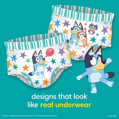 Pampers Easy Ups Training Pants Underwear Sizes: 2T-6T