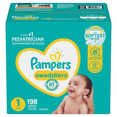 sam's club pampers size 2