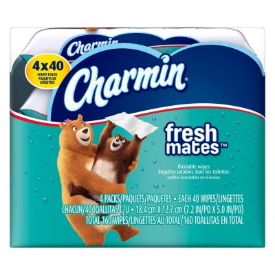charmin wet wipes