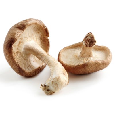 Shitake Mushroom – EDEN'S HK