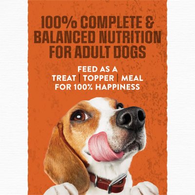 Purina moist and meaty 60 pouches best sale