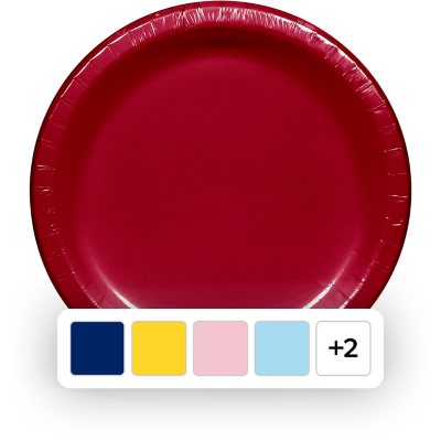 Chinet Classic Dinner Paper Plate, 10.38 (165 ct.) - Sam's Club