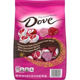 Dove Promises Milk & Dark Chocolate Valentines Day Gift Assortment Bulk Candy Bag (28.14 oz.)