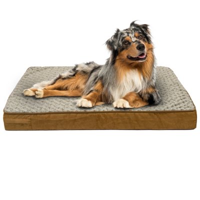 Sam's Pets Missy Medium Gray Round Dog Bed