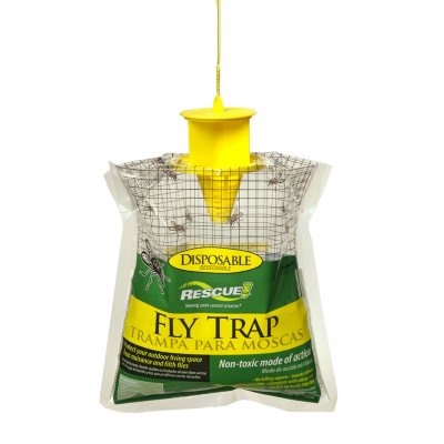 Rescue Fly Trap, 12 pk - Sam's Club