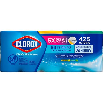 Clorox Disinfecting Bleach-Free Cleaning Wipes, Variety Pack (85